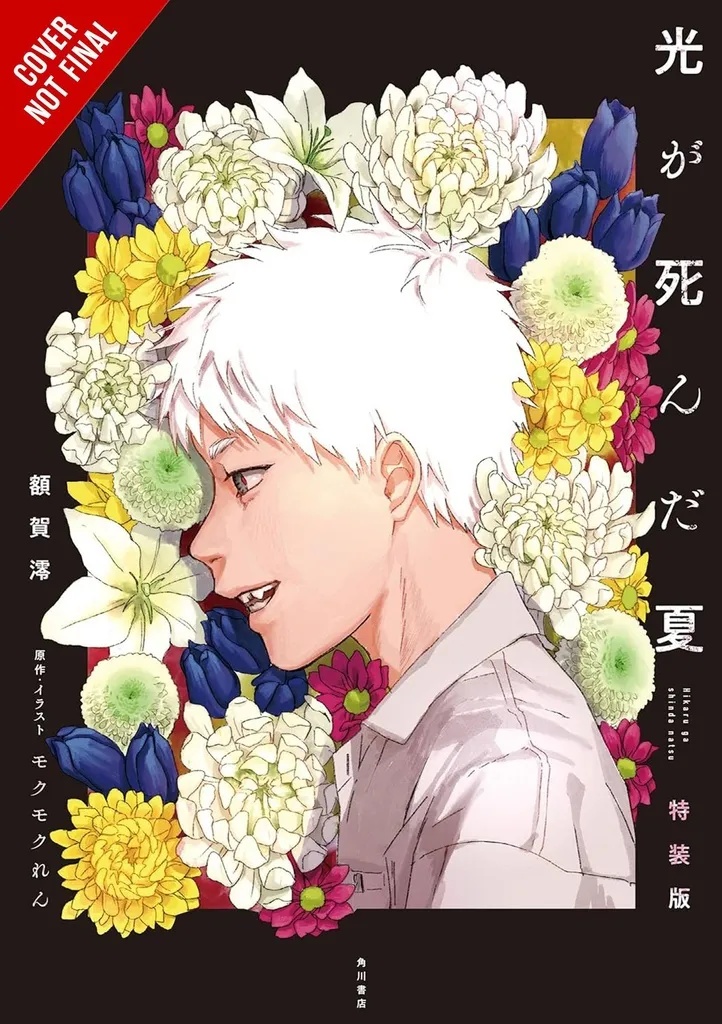 SUMMER HIKARU DIED LIGHT NOVEL 1