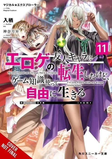 MAGICAL EXPLORER LIGHT NOVEL 11
