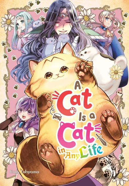 A CAT IS A CAT IN ANY LIFE A CAT IS A CAT IN ANY LIFE