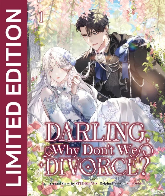 DARLING WHY DONT WE DIVORCE 1 LIMITED EDITION WITH BOOKMARK OF OPHELIA LIZEN