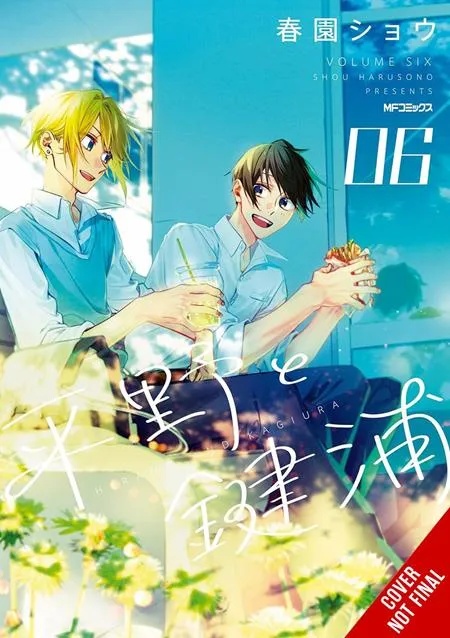 HIRANO AND KAGIURA 6