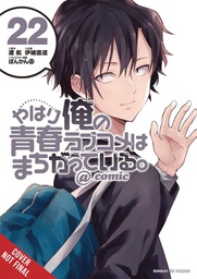 [9781975391133] YOUTH ROMANTIC COMEDY WRONG EXPECTED 22