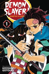 [9781974700523] DEMON SLAYER KIMETSU NO YAIBA 1
