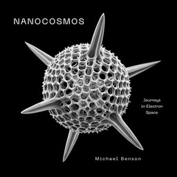 [9780810997974] NANOCOSMOS