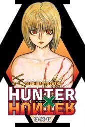 [9781974762002] HUNTER X HUNTER (3-IN-1 EDITION) 15