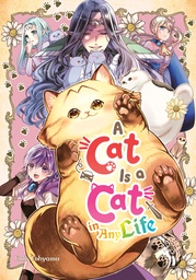 [9781646094714] A CAT IS A CAT IN ANY LIFE