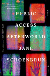 [9780593978382] PUBLIC ACCESS AFTERWORLD: A NOVEL