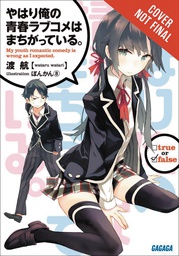 [9780316318105] MY YOUTH ROMANTIC COMEDY IS WRONG AS I EXPECTED 2