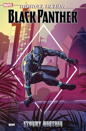 [9781684055173] MARVEL ACTION BLACK PANTHER 1 STORMY WEATHER