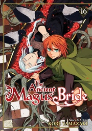 [9781638582946] ANCIENT MAGUS BRIDE 16