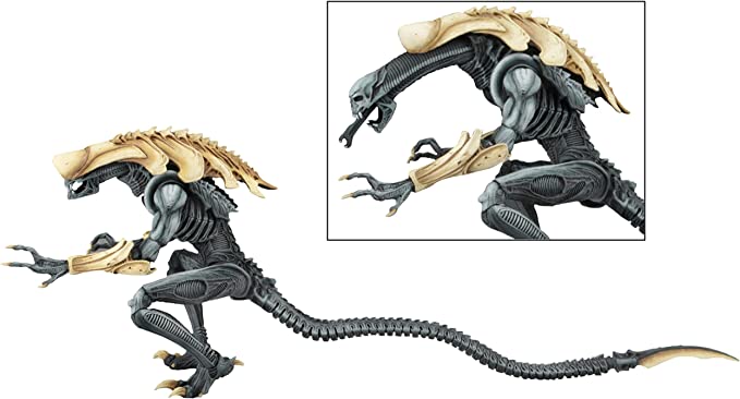 ALIEN VS PREDATOR MOVIE DECO ALIEN CHRYSALIS ALIEN Aliens vs Predator - Chrysalis Alien (Arcade Appearance) 8 Inch Action Figure