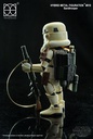 STAR WARS - Hero Cross Sandtrooper Premium Action Figure