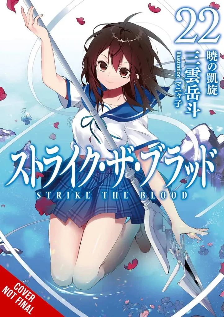 STRIKE THE BLOOD LIGHT NOVEL 22