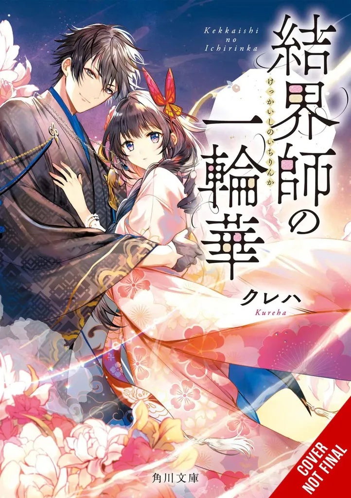 BRIDE OF BARRIER MASTER LIGHT NOVEL 1