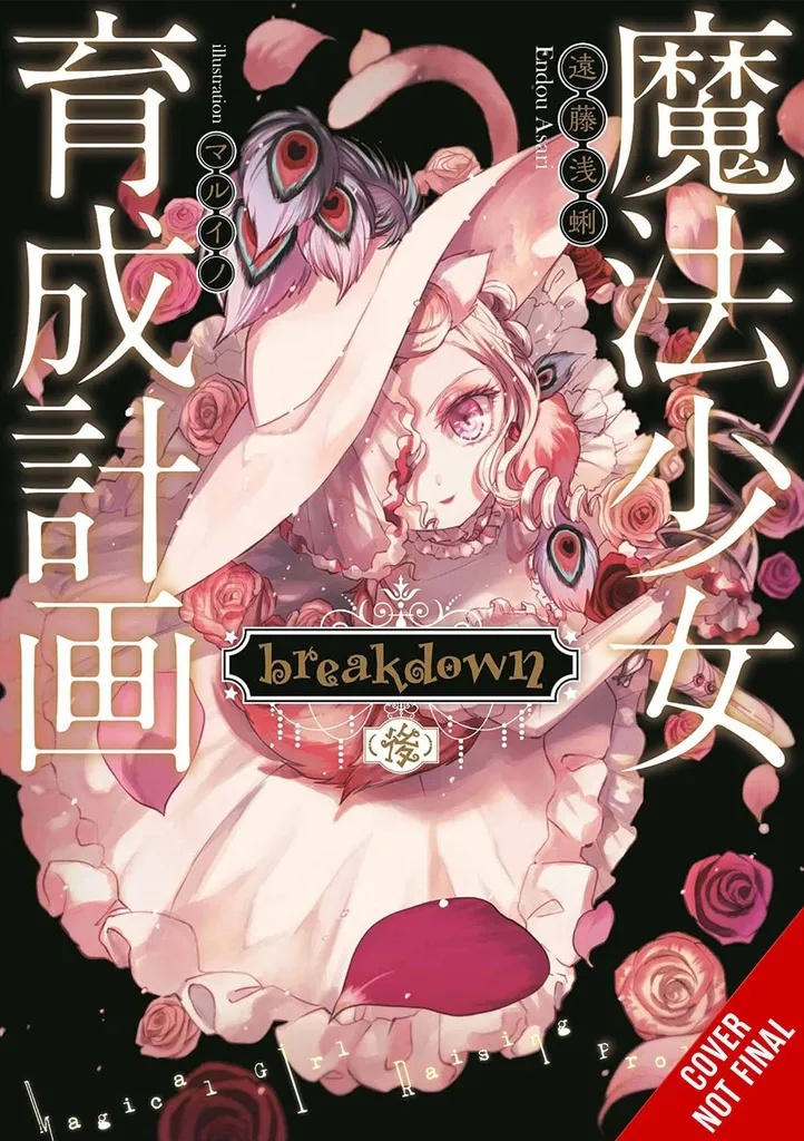 MAGICAL GIRL RAISING PROJECT LIGHT NOVEL 15
