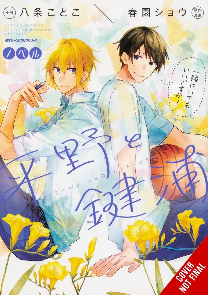 HIRANO & KAGIURA LIGHT NOVEL