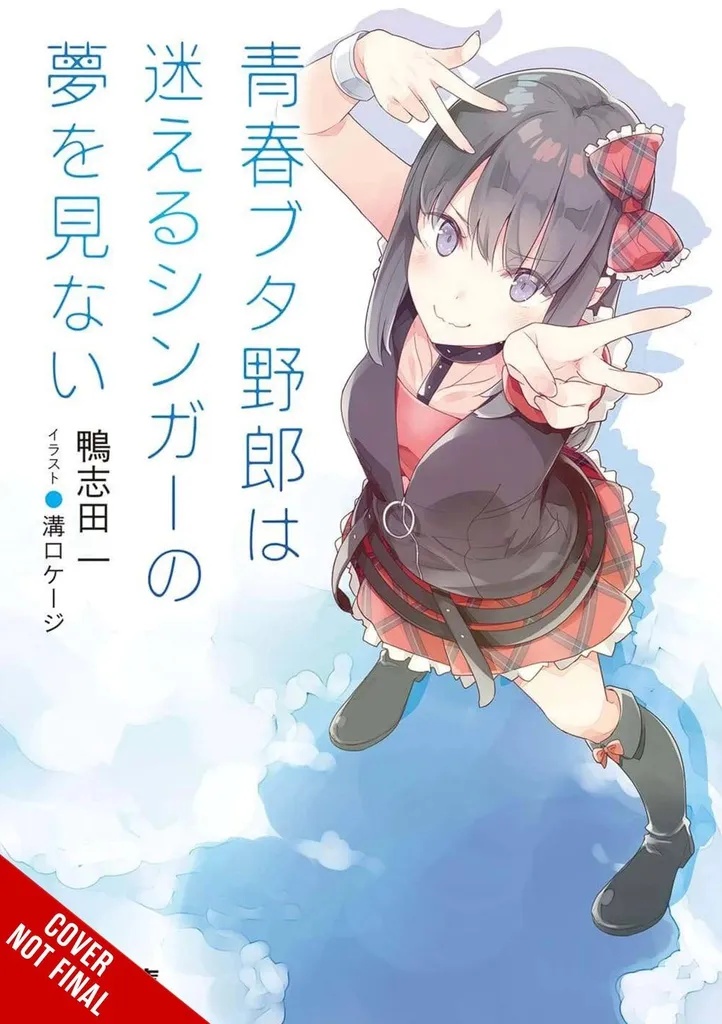 RASCAL DOES NOT DREAM OF A LOST SINGER LIGHT NOVEL