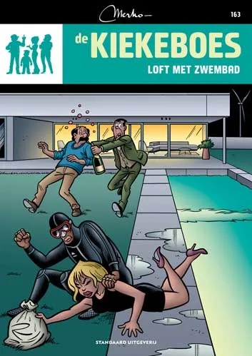 Kiekeboes 163 Loft met zwembad