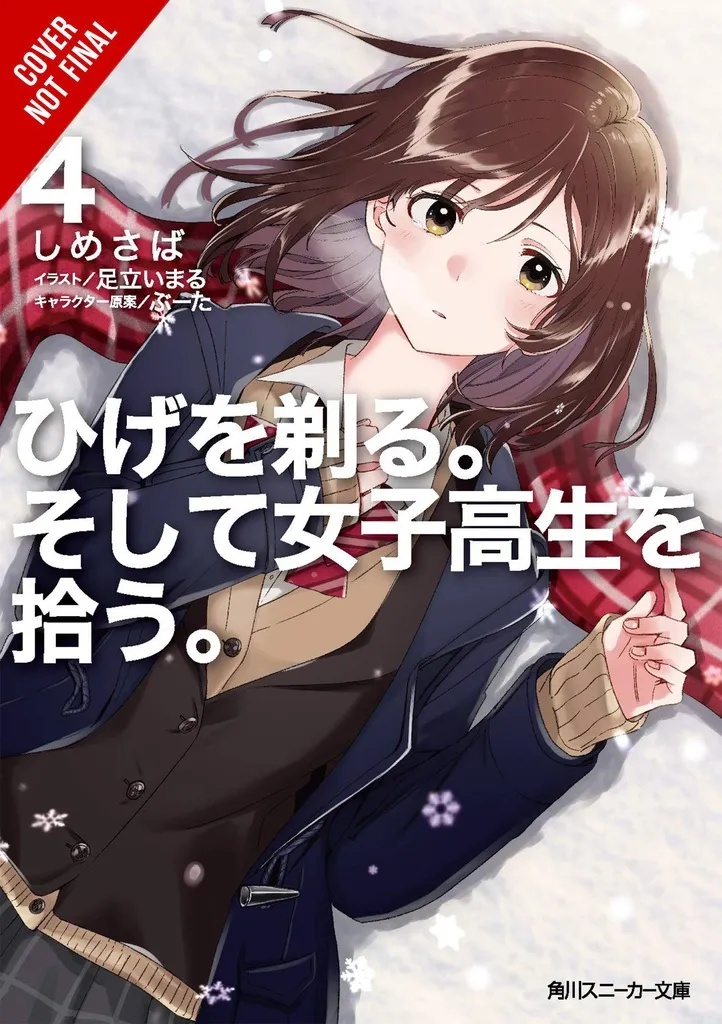 HIGEHIRO AFTER BEING REJECTED LIGHT NOVEL 4