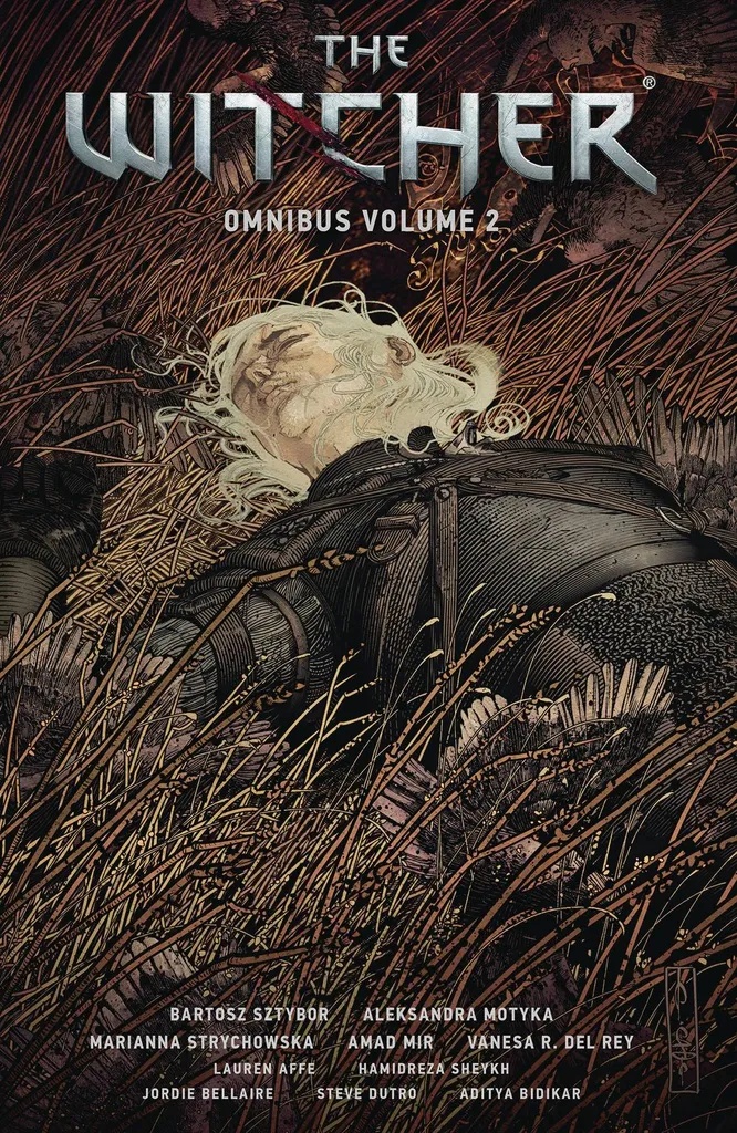 WITCHER OMNIBUS 2