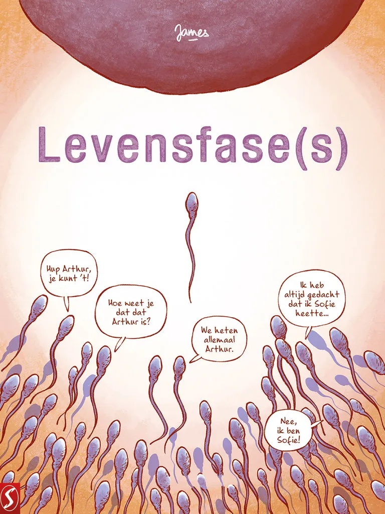 Levensfase(s)