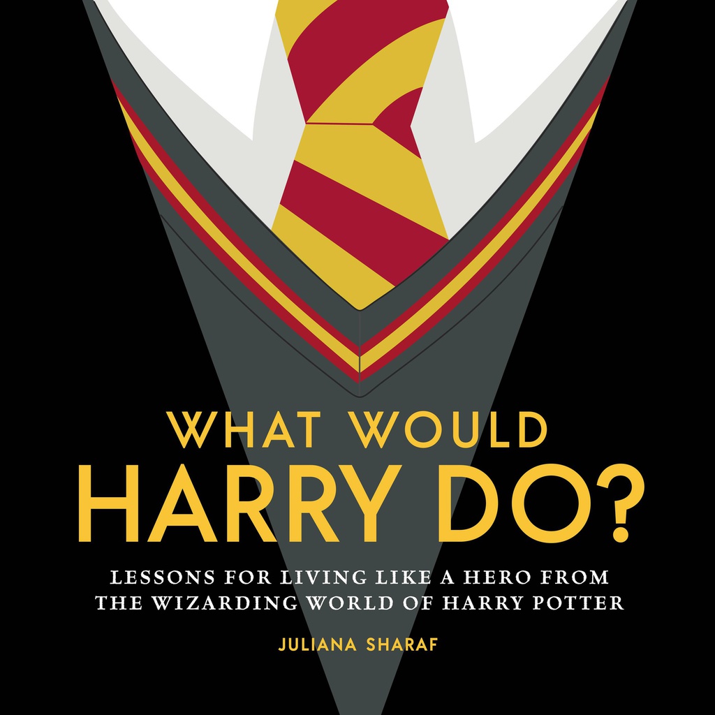 WHAT WOULD HARRY DO LESSONS WIZARDING WORLD