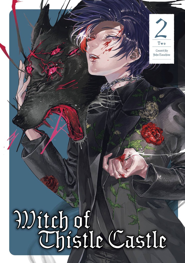 WITCH OF THISTLE CASTLE 2