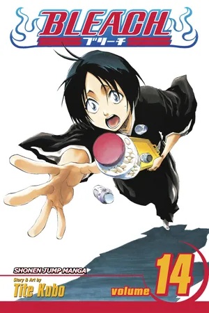 BLEACH 14