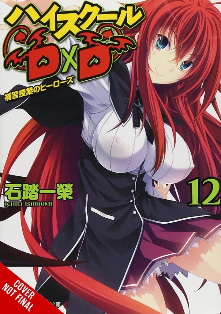 HIGH SCHOOL DXD 12