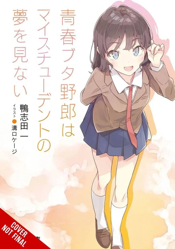 RASCAL DOES NOT DREAM LIGHT NOVEL 12