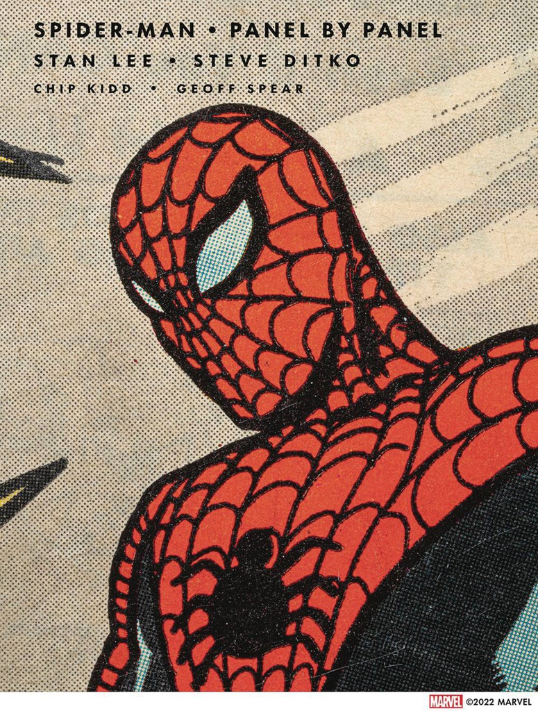 SPIDER MAN PANEL BY PANEL