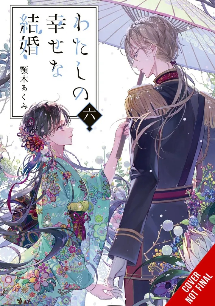 MY HAPPY MARRIAGE NOVEL 6