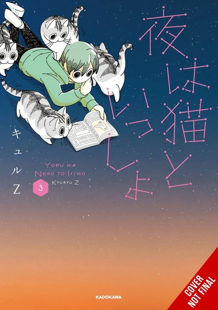 NIGHTS WITH A CAT 3