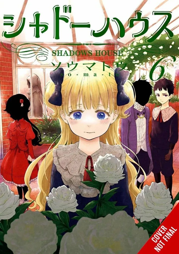 SHADOWS HOUSE 6
