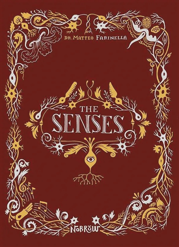 THE SENSES