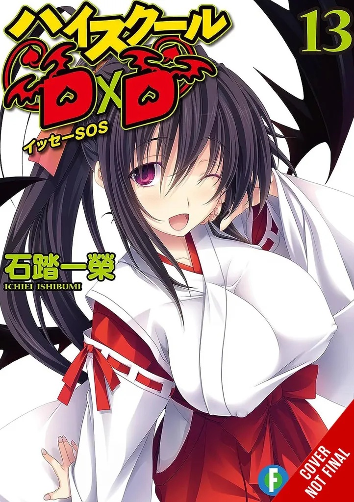 HIGHHOOL DXD LIGHT NOVEL 13