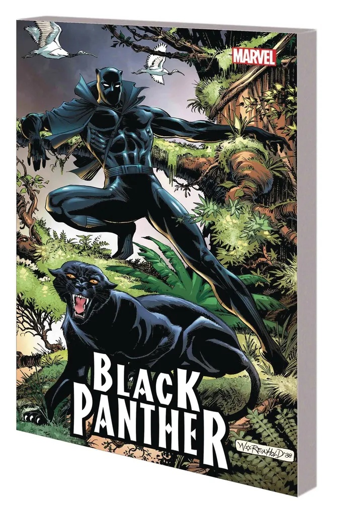 BLACK PANTHER PANTHERS QUEST