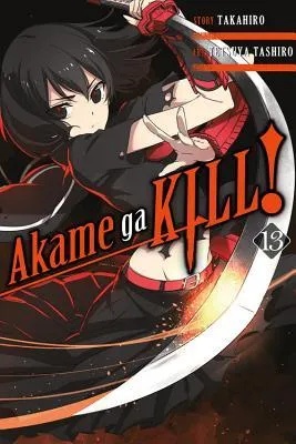 AKAME GA KILL 13