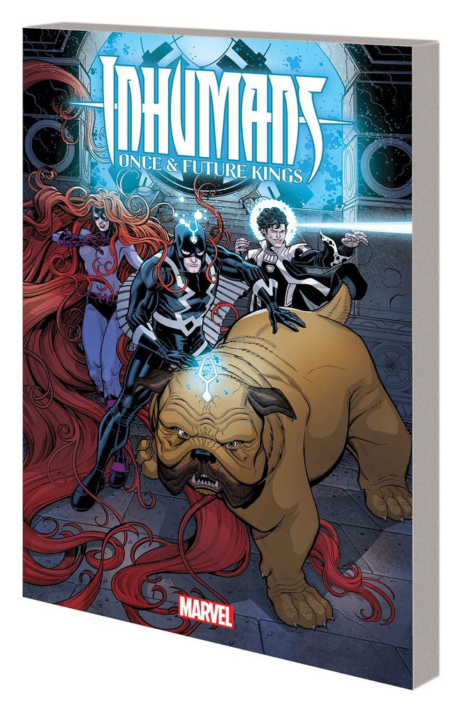 INHUMANS ONCE AND FUTURE KING