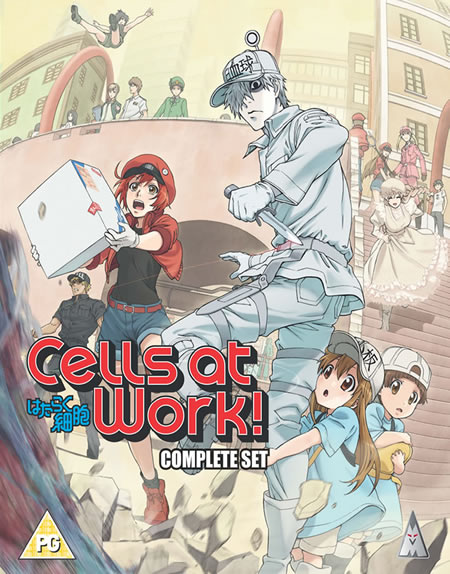 CELLS AT WORK Collection Blu-ray