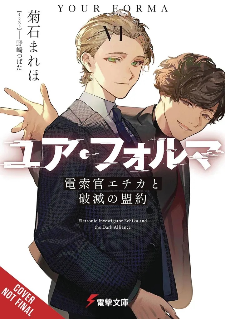 YOUR FORMA LIGHT NOVEL 6