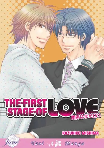 FIRST STAGE OF LOVE