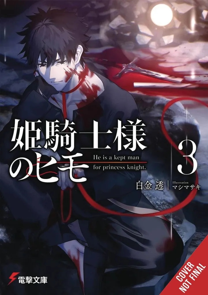 KEPT MAN OF PRINCESS KNIGHT LIGHT NOVEL 3