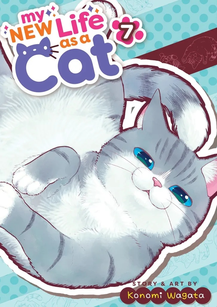 MY NEW LIFE AS A CAT 7