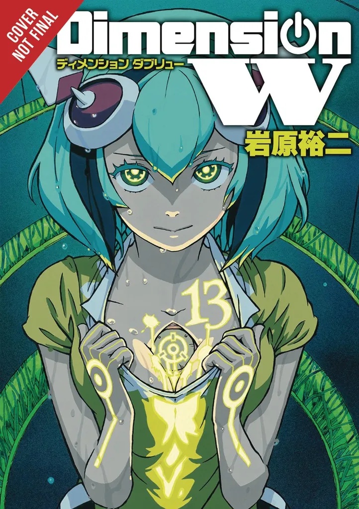 DIMENSION W 13