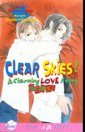 CLEAR SKIES A CHARMING LOVE STORY NOVEL