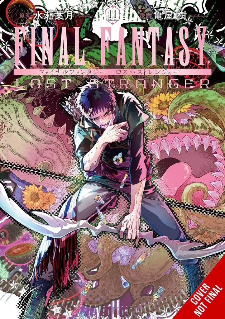 FINAL FANTASY LOST STRANGER 11