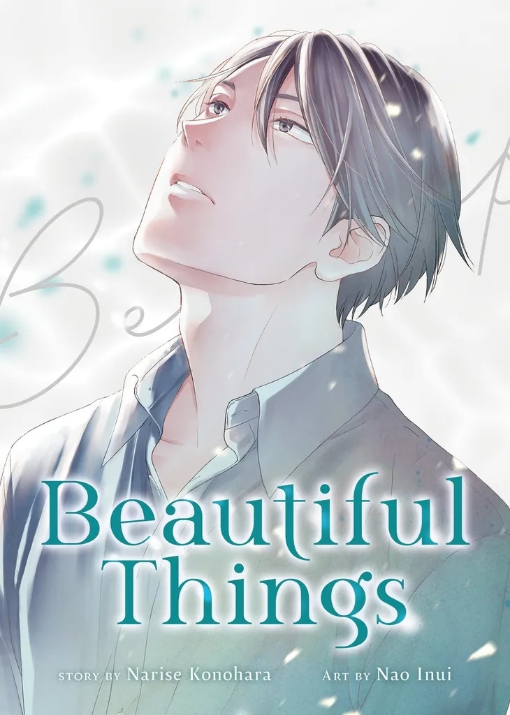 BEAUTIFUL THINGS COMPLETE MANGA COLL