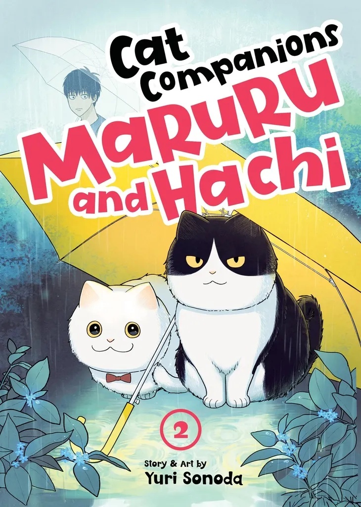 CAT COMPANIONS MARURU & HACHI 2