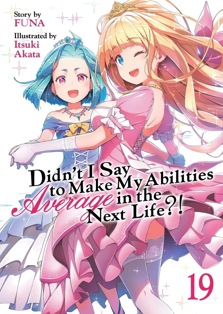 DIDN`T I SAY MAKE ABILITIES AVERAGE NOVEL 19